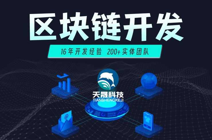 区块链隐私保护技术，揭秘区块链隐私保护技术，守护数字世界隐私的守护者
