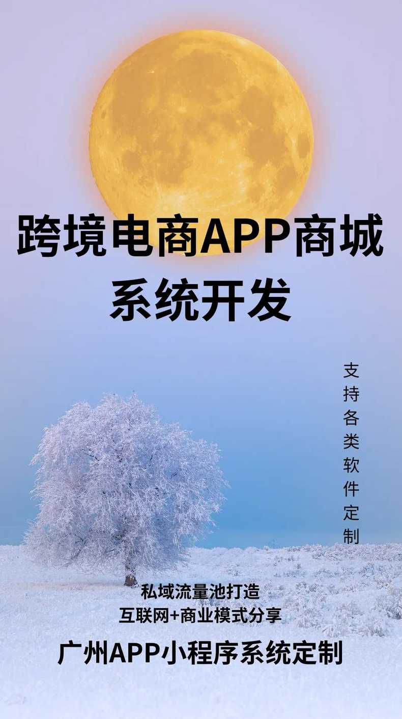 跨平台应用开发