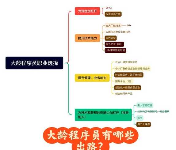 程序员职业转型路径，程序员转型攻略，探索职业新方向