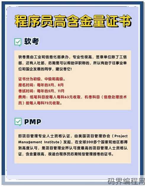 java含金量高的证书，Java高级认证，解锁职业高薪密码
