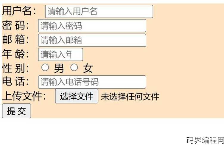 html用户注册表单制作