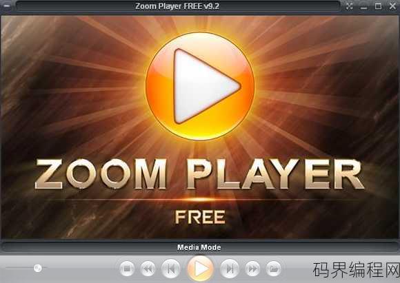 flash游戏播放器高级版