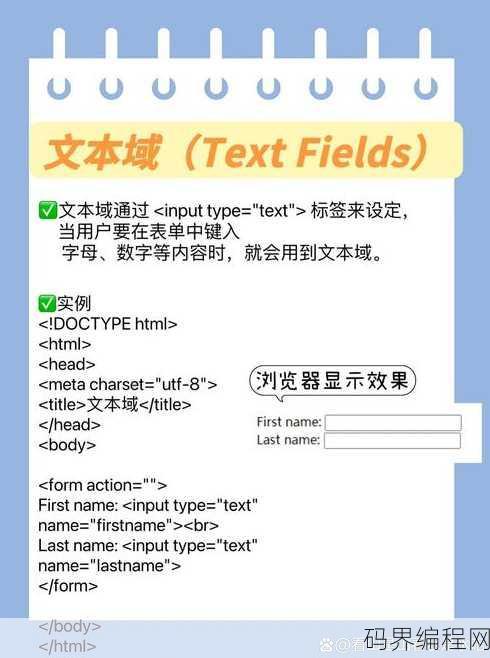 html单选按钮代码怎么写，HTML单选按钮代码编写方法