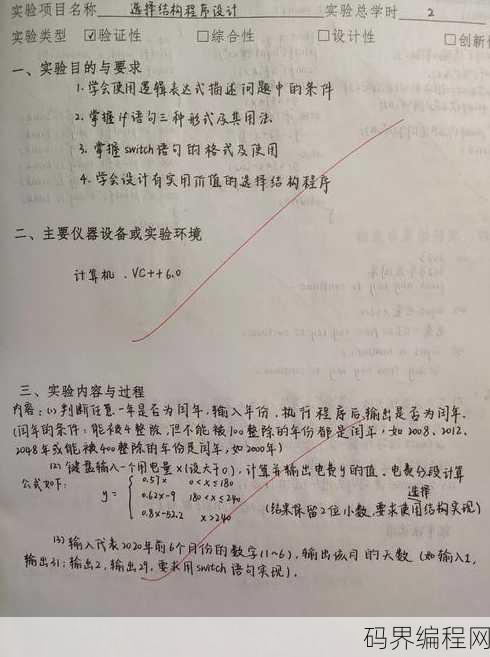 c语言函数实验报告，C语言函数实验报告，实践与总结