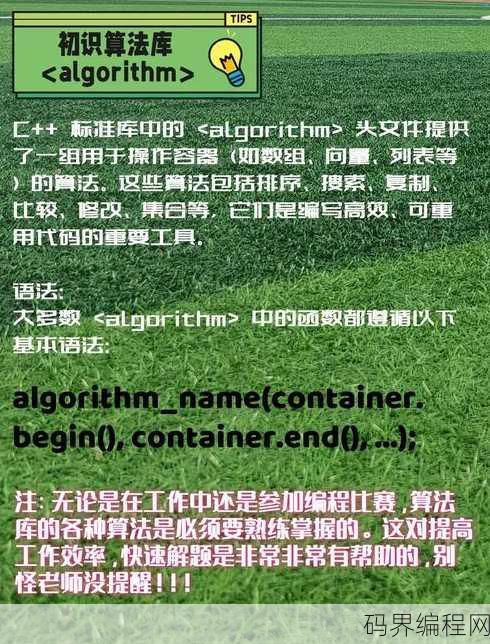 c语言sort函数如何使用
