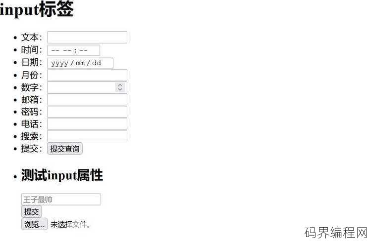 input 属性，深入解析HTML的input属性