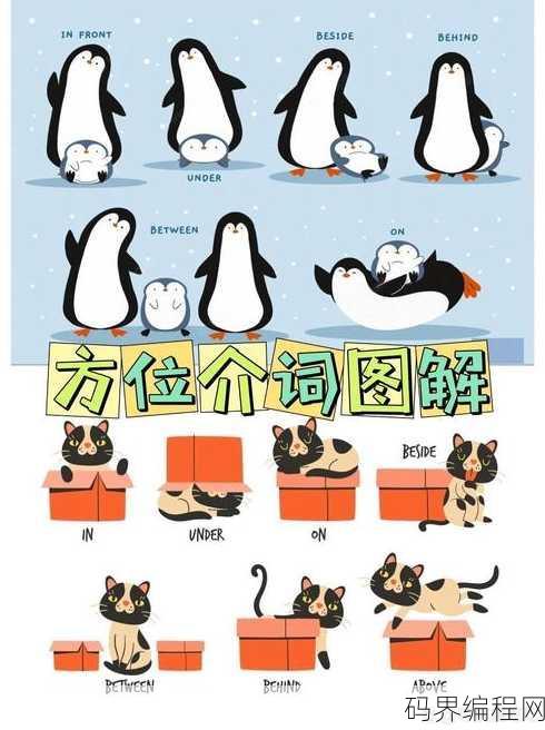 position什么意思