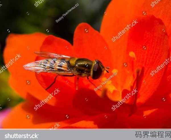 hoverfly，探索Hoverfly，下一代网络数据监控工具