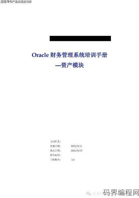oracle财务软件有多难