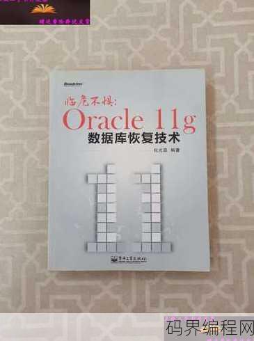 oracle数据库数据恢复，Oracle数据库数据恢复攻略