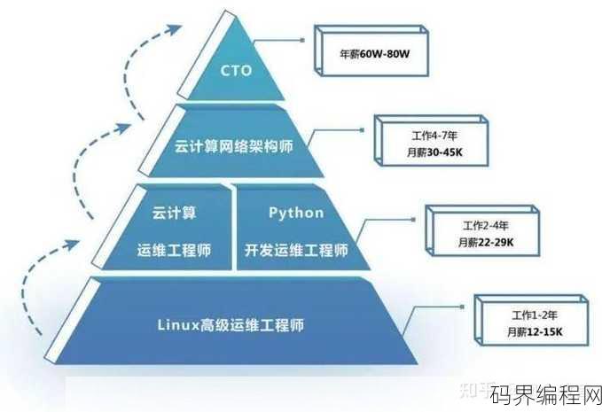 it入门应该学什么