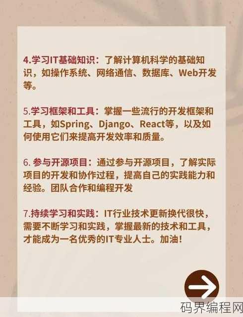 it入门应该学什么，初学者指南，IT入门必学内容解析