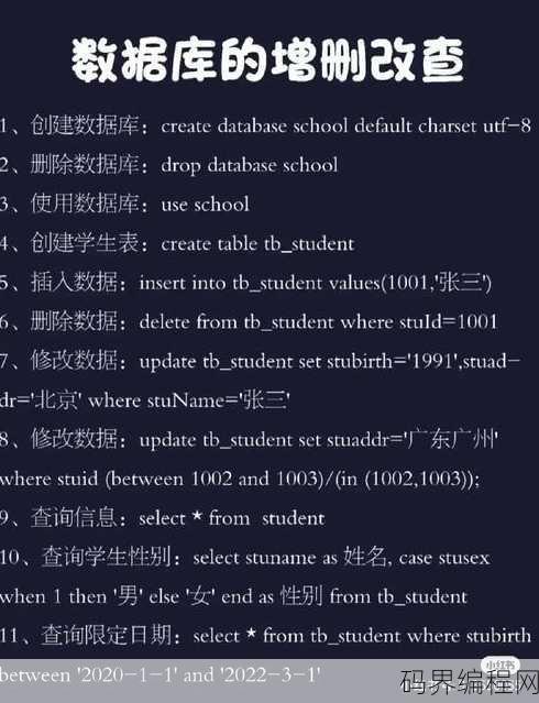 数据库包含哪些内容，概览