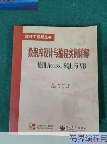 vb与数据库实例