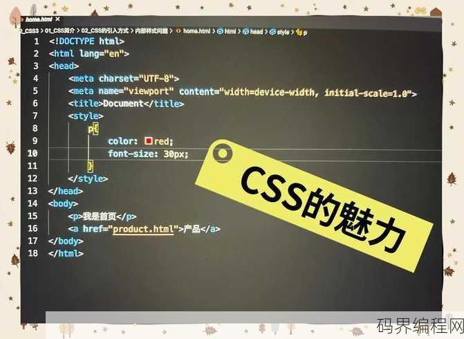 css主要学什么