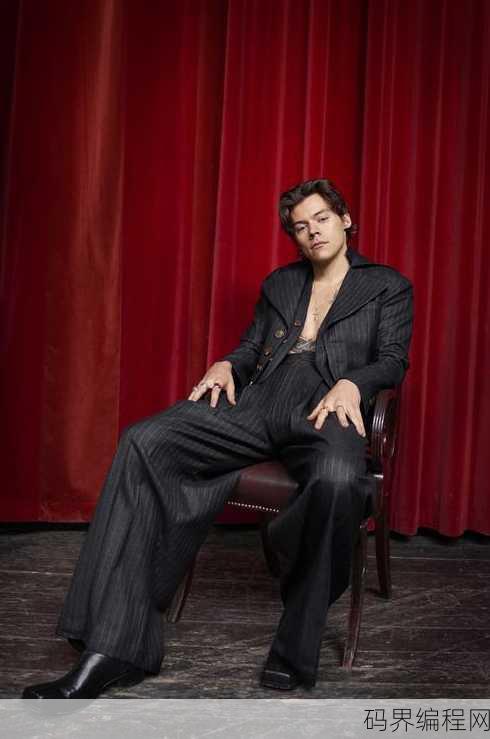 styles，探索时尚风格，styles的魅力与演变