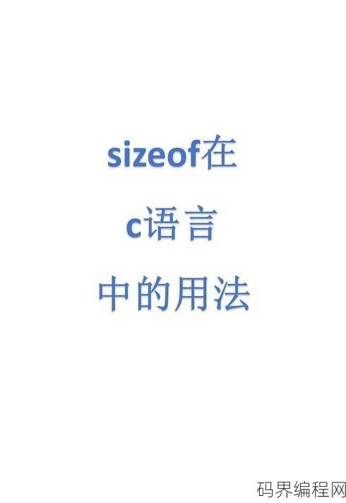 size是什么意思英语