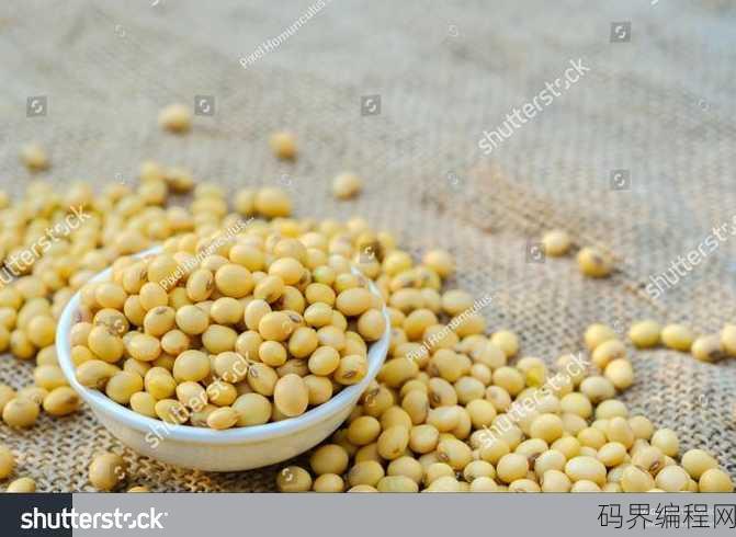 soy bean是什么意思，大豆的英文是什么？