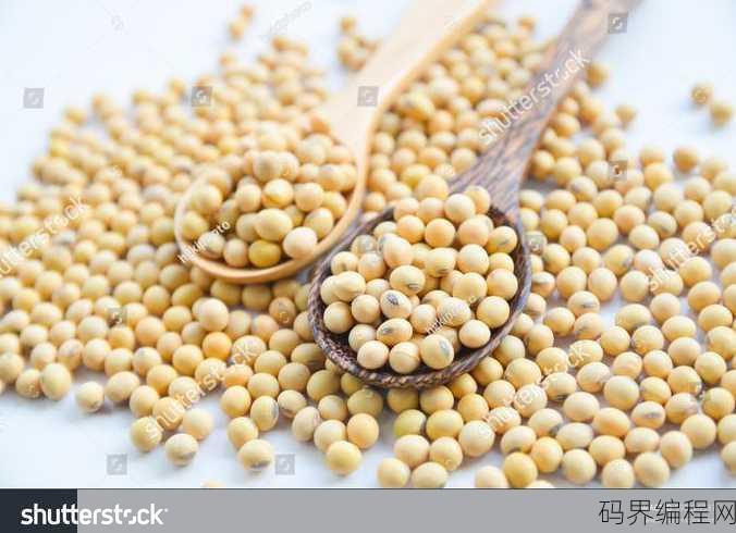 soy bean是什么意思
