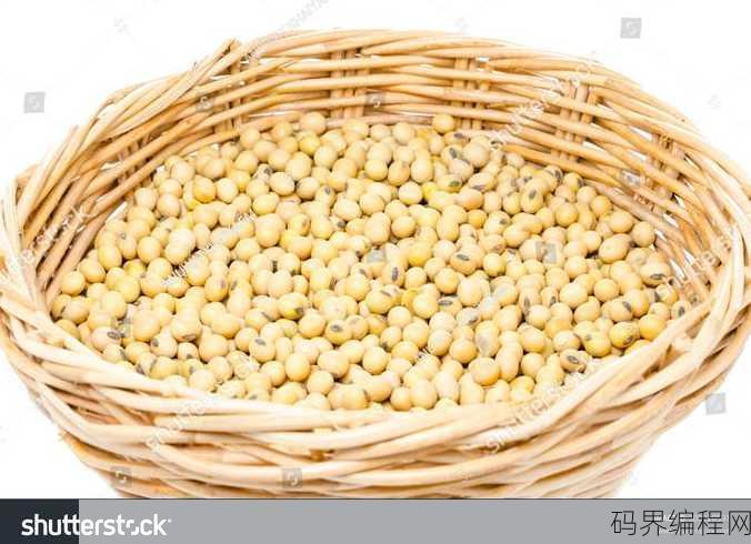 soy bean是什么意思