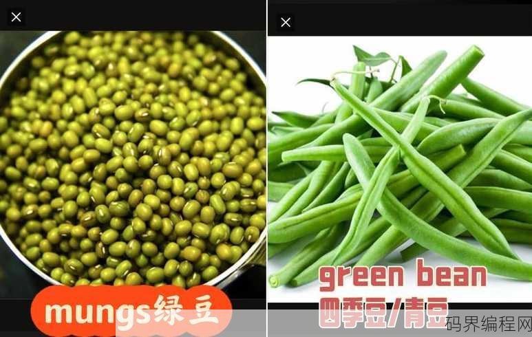 green beans是什么意思，Green Beans的含义揭秘
