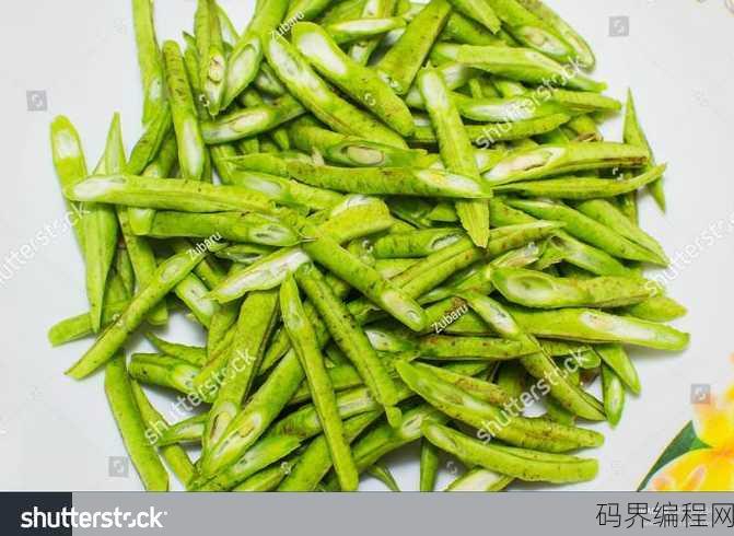 beanstalk英语怎么读，Beanstalk英语发音指南