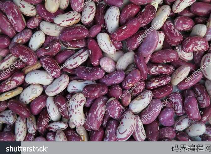 beanpoles，探索Beanpoles，揭秘其背后的独特魅力