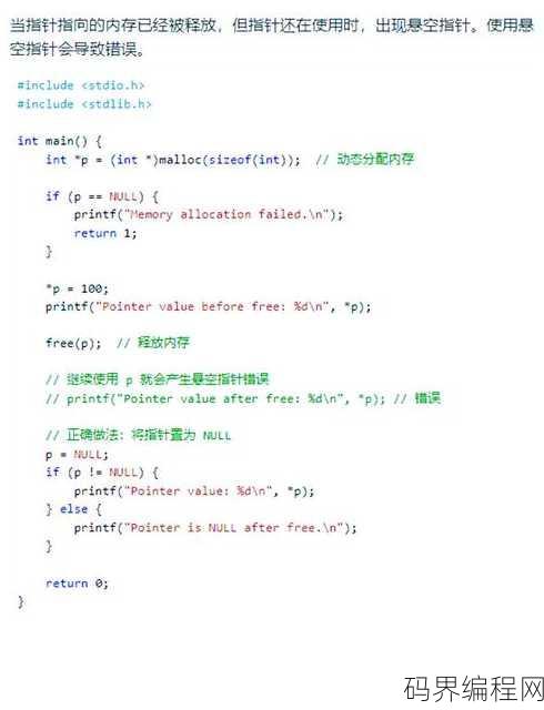 c语言指针类型