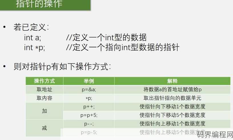 c语言指针类型