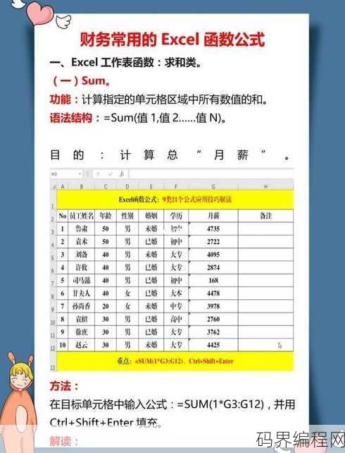 excel函数的运用，Excel函数应用技巧解析