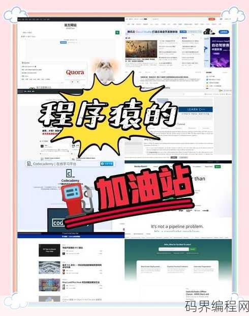 可以编程的网站