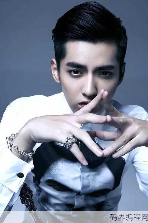 吴亦凡轮j