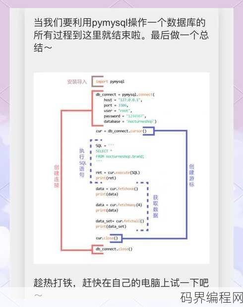 python数据库，Python数据库应用实践指南