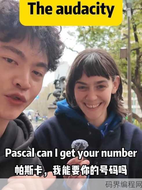 audacity，Audacity音频编辑软件深度解析