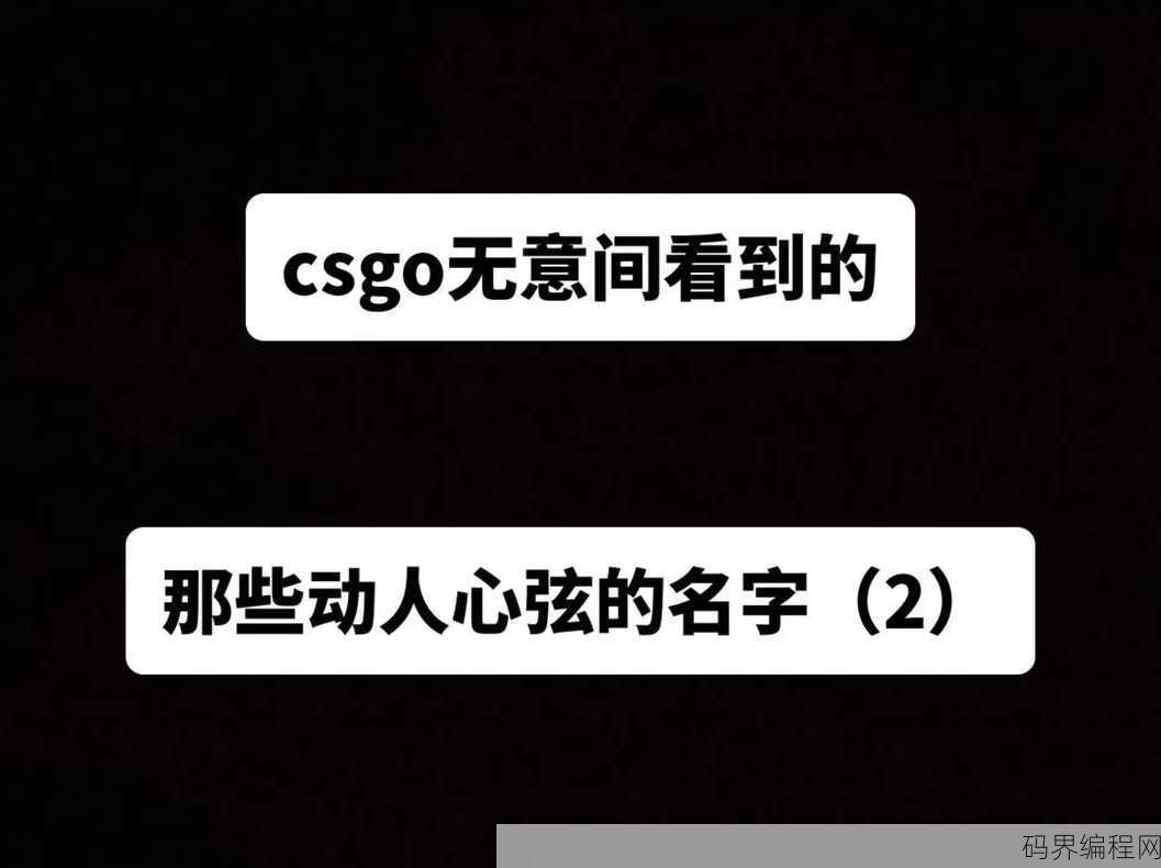 discuz是什么意思