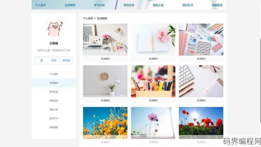 大学生网页设计模板
