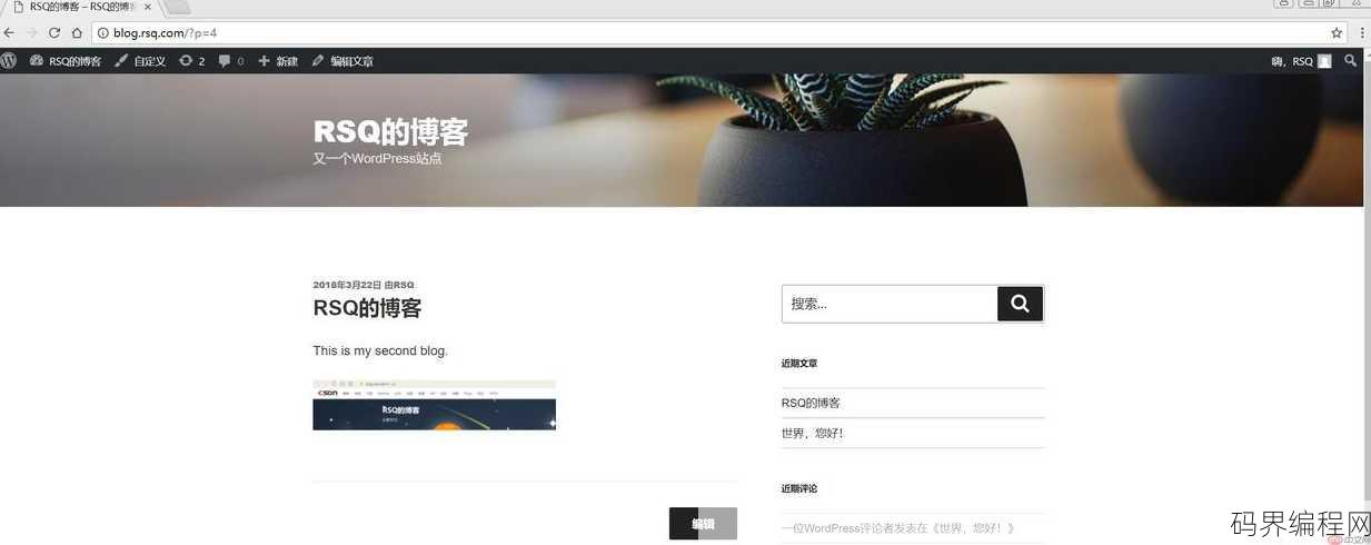 wordpress网站入口