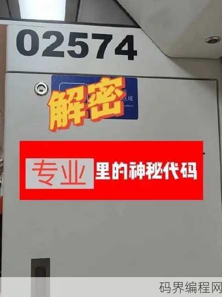 神秘代码懂得都懂