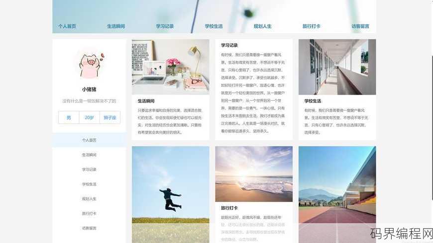 web网页制作期末大作业，网页制作期末大作业，实战展示与总结
