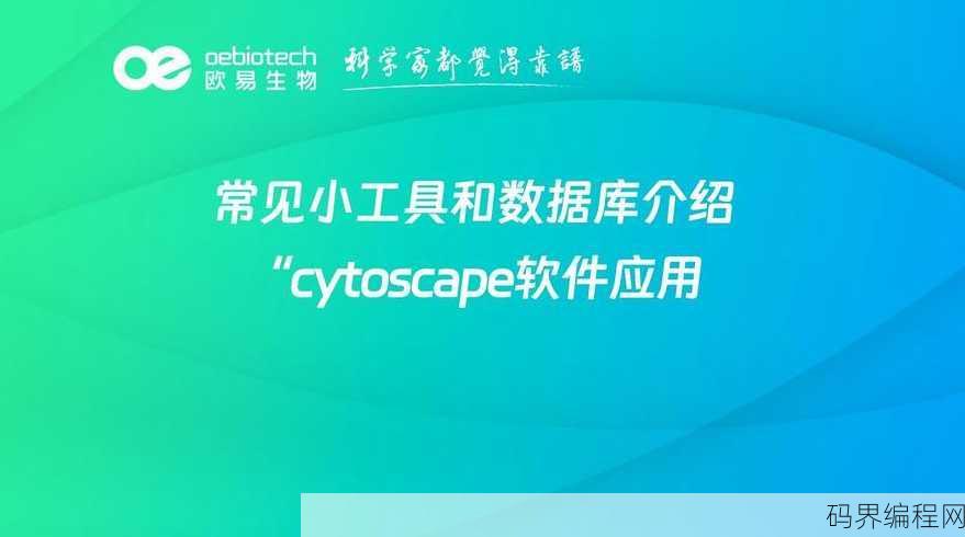 数据库应用软件，高效数据库应用软件解决方案