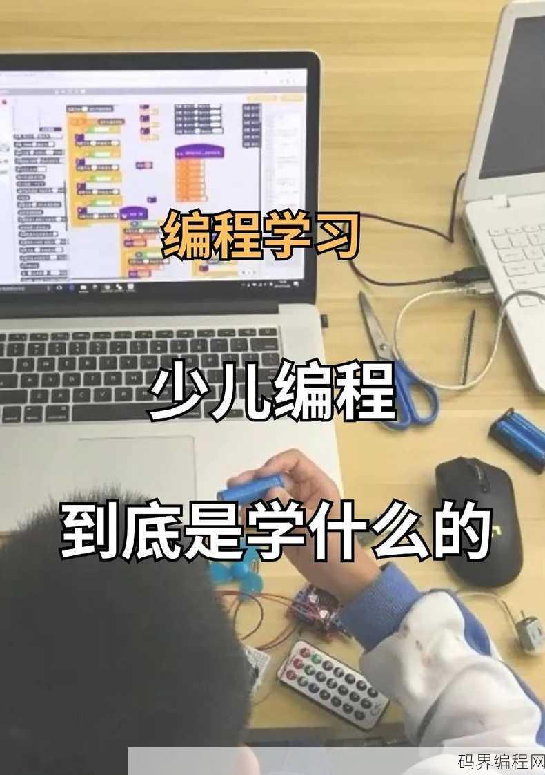 学编程先学什么
