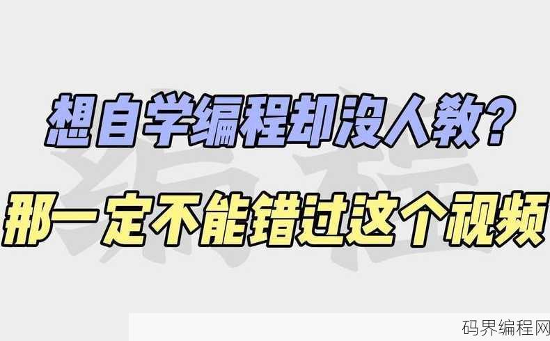 想学编程但是没基础