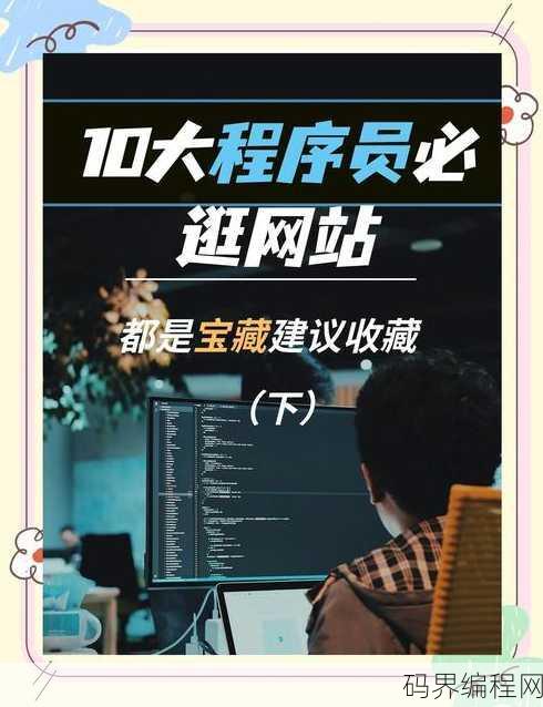 电脑编程网站