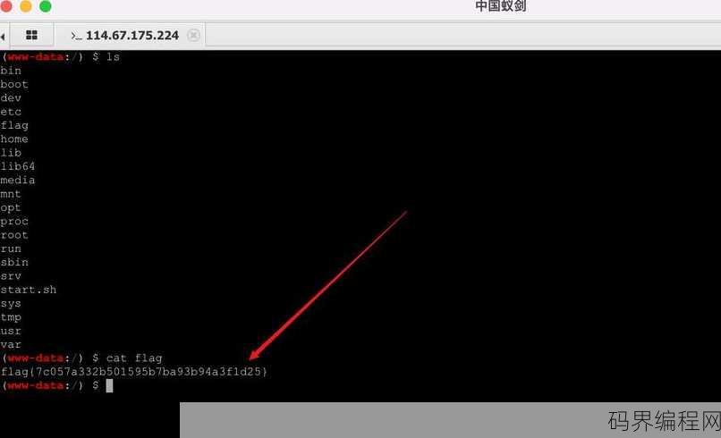 php读取文件夹所有文件