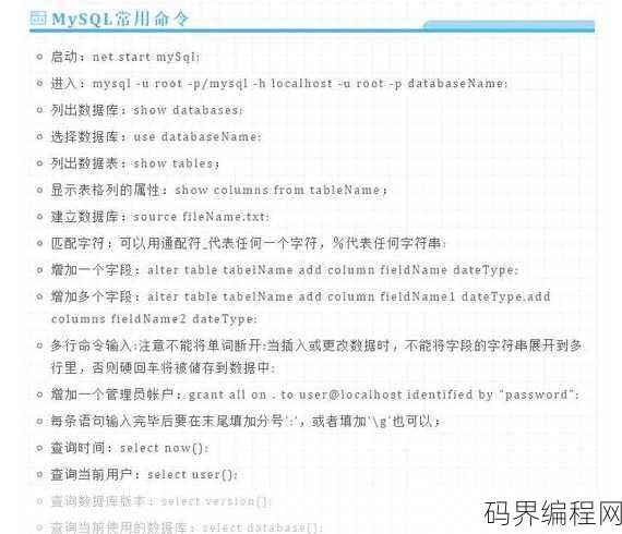 php字符串查找