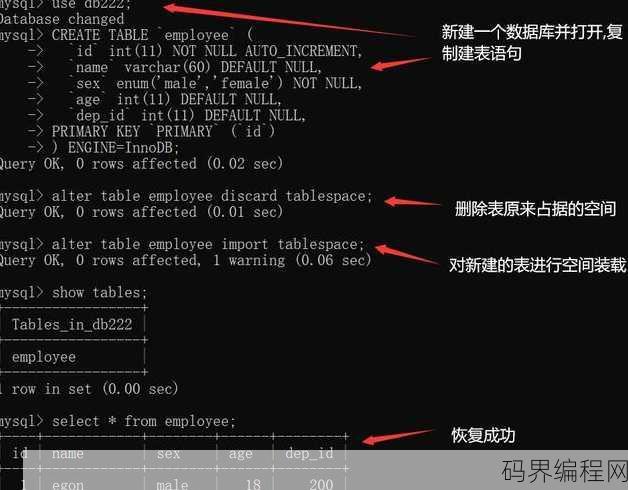 insert数据库语句