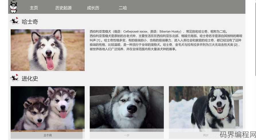 宠物网页设计模板