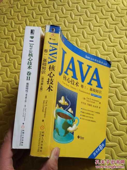 java核心技术卷二有必要看吗（java核心技术卷一适合初学者吗）