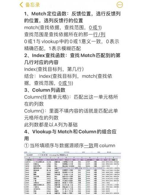 index函数使用教学（index函数菜鸟教程）