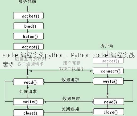 socket编程实例python，Python Socket编程实战案例